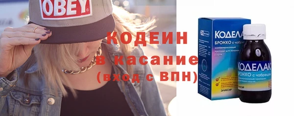гашик Сатка