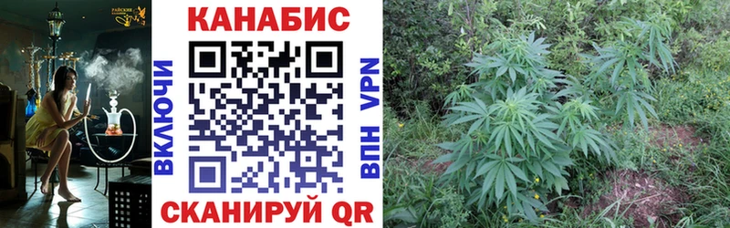 darknet наркотические препараты  Тырныауз  Канабис SATIVA & INDICA  OMG как зайти 